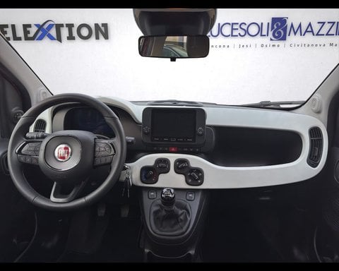 Auto Usate A Ancona | Fiat Panda Cross 1.0 Firefly S&S Hybrid