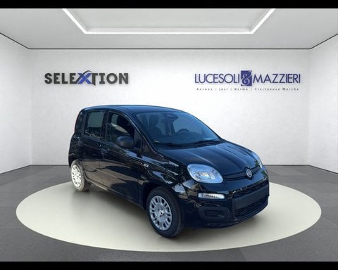 Auto Usate A Ancona | Lancia Ypsilon 3ª Serie 1.2 69 Cv 5 Porte Gpl Ecochic
