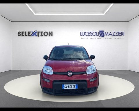 Auto Km0 A Ancona | Fiat Panda My24 1.0 70Cv Hybrid Panda