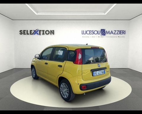 Auto Usate A Ancona | Fiat Pandina 1.0 Firefly 65 Cv Hybrid Pop