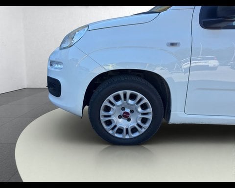 Auto Usate A Ancona | Fiat Panda 1.2 Easy