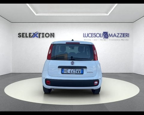 Auto Usate A Ancona | Fiat Pandina 1.0 Firefly 65 Cv Hybrid Icon