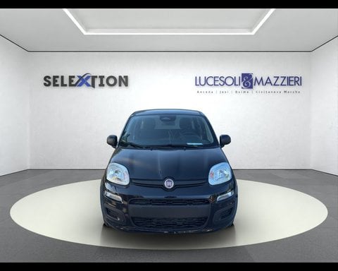 Auto Usate A Ancona | Lancia Ypsilon 3ª Serie 1.2 69 Cv 5 Porte Gpl Ecochic