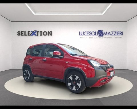 Auto Usate A Ancona | Fiat Panda 1.0 Firefly S&S Hybrid City Cross