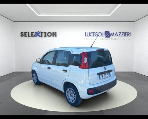 Auto Usate A Ancona | Fiat Panda 1.2 Easy