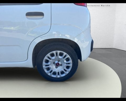 Auto Usate A Ancona | Fiat Panda 1.2 Easy