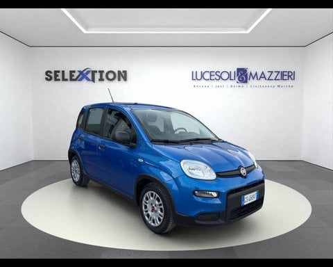 Auto Km0 A Ancona | Fiat Panda My24 1.0 70Cv Hybrid Panda