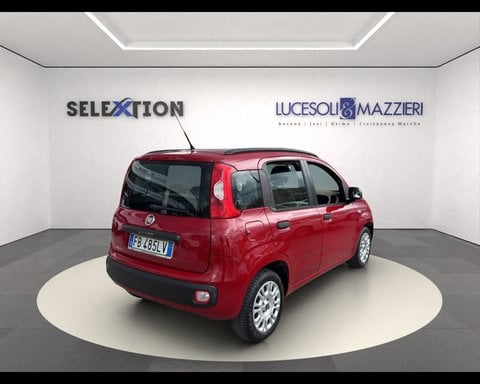 Auto Usate A Ancona | Fiat Panda 1.2 Easy