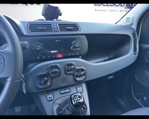 Auto Usate A Ancona | Fiat Panda 1.0 Firefly S&S Hybrid Easy
