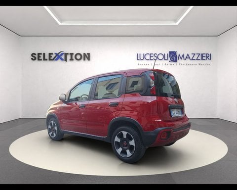 Auto Usate A Ancona | Fiat Panda 1.0 Firefly S&S Hybrid City Cross