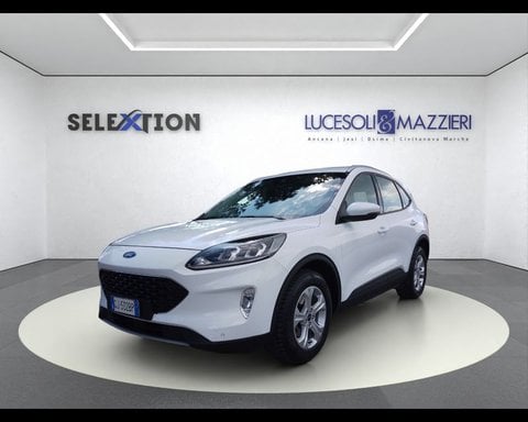 Auto Usate A Ancona | Ford Kuga 3ª Serie 1.5 Ecoblue 120 Cv 2Wd Connect