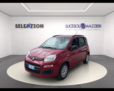 Auto Usate A Ancona | Fiat Panda 1.2 Easy