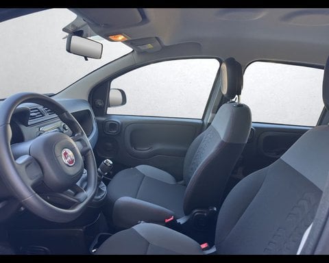 Auto Usate A Ancona | Fiat Panda 3ª Serie 1.0 Firefly S&S Hybrid Easy