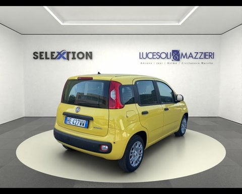 Auto Usate A Ancona | Fiat Pandina 1.0 Firefly 65 Cv Hybrid Pop