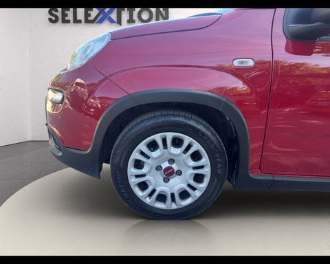 Auto Usate A Ancona | Fiat Panda 1.0 Firefly S&S Hybrid