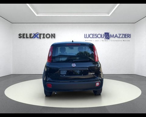 Auto Usate A Ancona | Lancia Ypsilon 3ª Serie 1.2 69 Cv 5 Porte Gpl Ecochic