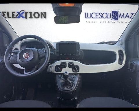 Auto Usate A Ancona | Fiat Panda 1.0 Firefly S&S Hybrid City Cross