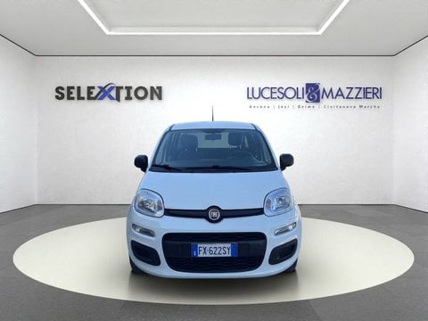 Auto Usate A Ancona | Fiat Panda 1.2 Easy