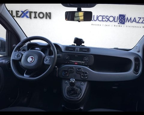 Auto Usate A Ancona | Fiat Panda 1.0 Firefly S&S Hybrid Easy