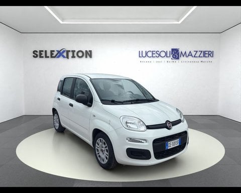 Auto Usate A Ancona | Fiat Panda 1.0 Firefly S&S Hybrid