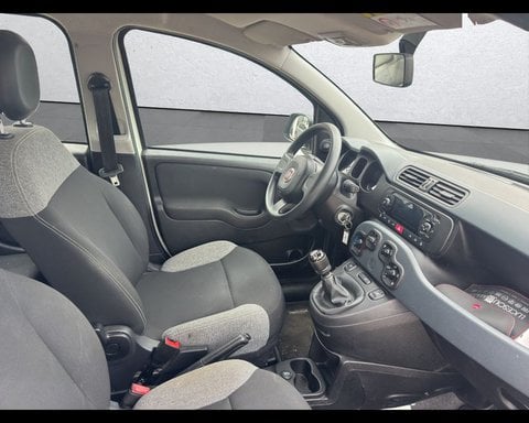 Auto Usate A Ancona | Fiat Panda 1.0 Firefly S&S Hybrid