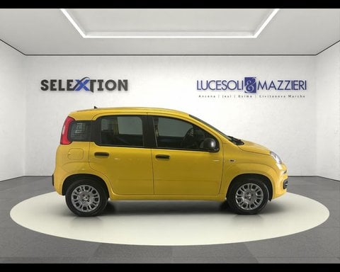 Auto Usate A Ancona | Fiat Pandina 1.0 Firefly 65 Cv Hybrid Pop