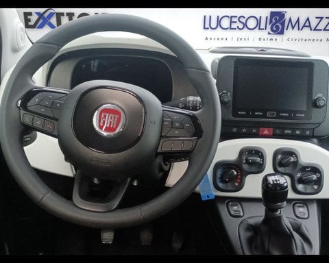 Auto Usate A Ancona | Fiat Panda Cross 1.0 Firefly S&S Hybrid