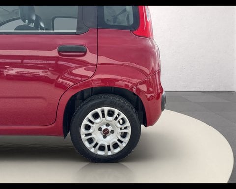 Auto Usate A Ancona | Fiat Panda 1.2 Easy