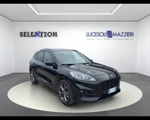 Auto Usate A Ancona | Ford Kuga 3ª Serie 1.5 Ecoblue 120 Cv 2Wd St-Line