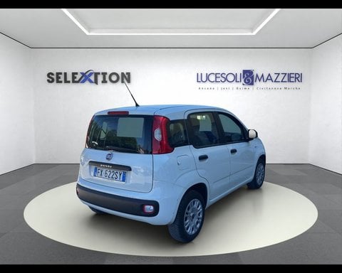 Auto Usate A Ancona | Fiat Panda 1.2 Easy