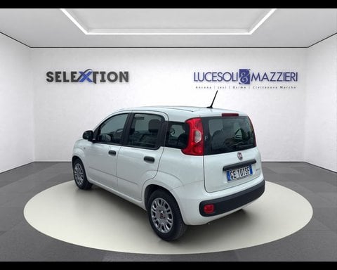 Auto Usate A Ancona | Fiat Panda 1.0 Firefly S&S Hybrid