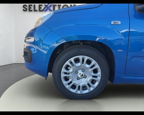 Auto Km0 A Ancona | Fiat Pandina My26 1.0 65Cv Hybrid Pop