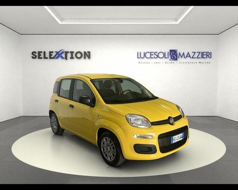 Auto Usate A Ancona | Fiat Pandina 1.0 Firefly 65 Cv Hybrid Pop
