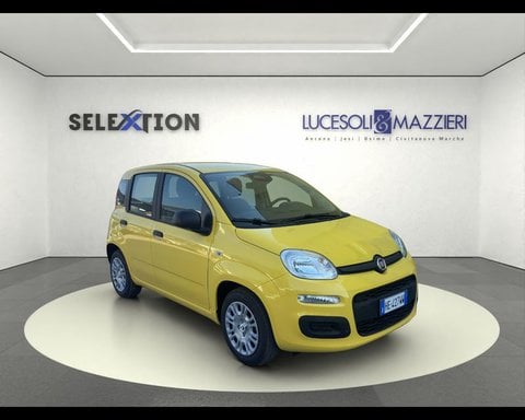 Auto Usate A Ancona | Fiat Pandina 1.0 Firefly 65 Cv Hybrid Pop
