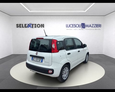 Auto Usate A Ancona | Fiat Panda 1.0 Firefly S&S Hybrid