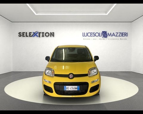 Auto Usate A Ancona | Fiat Pandina 1.0 Firefly 65 Cv Hybrid Pop