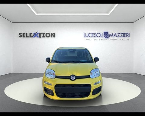 Auto Km0 A Ancona | Fiat Pandina My26 1.0 65Cv Hybrid Pop
