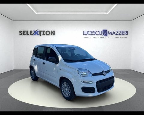 Auto Km0 A Ancona | Fiat Pandina My26 1.0 65Cv Hybrid Icon