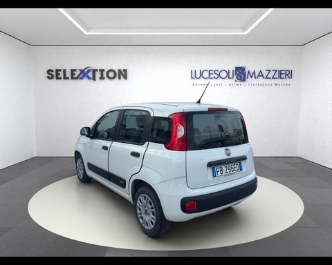 Auto Usate A Ancona | Fiat Panda 3ª Serie 1.2 Easy