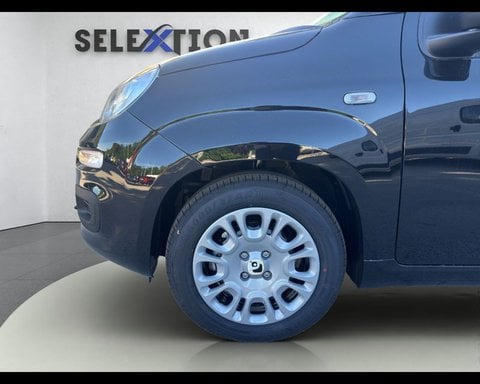 Auto Usate A Ancona | Lancia Ypsilon 3ª Serie 1.2 69 Cv 5 Porte Gpl Ecochic