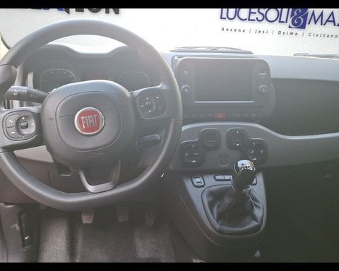 Auto Usate A Ancona | Fiat Panda 1.0 Firefly S&S Hybrid City Cross