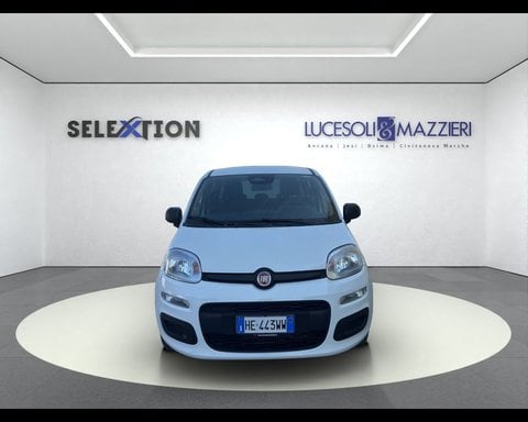 Auto Usate A Ancona | Fiat Pandina 1.0 Firefly 65 Cv Hybrid Icon