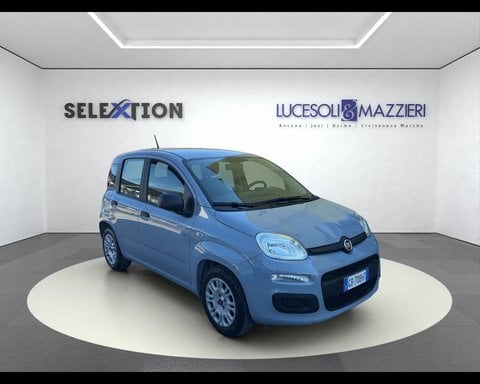 Auto Usate A Ancona | Fiat Panda 3ª Serie 1.0 Firefly S&S Hybrid Easy