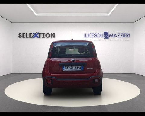 Auto Usate A Ancona | Fiat Panda 1.0 Firefly S&S Hybrid City Cross
