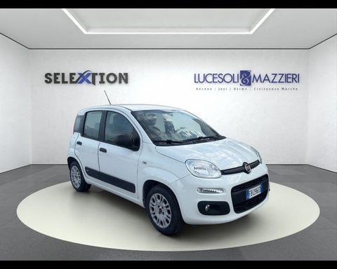 Auto Usate A Ancona | Fiat Panda 3ª Serie 1.2 Easy
