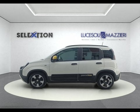 Auto Usate A Ancona | Fiat Panda Cross 1.0 Firefly S&S Hybrid