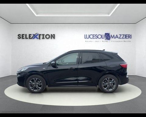 Auto Usate A Ancona | Ford Kuga 3ª Serie 1.5 Ecoblue 120 Cv 2Wd St-Line
