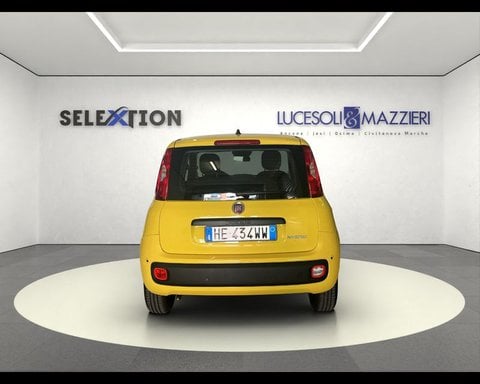 Auto Usate A Ancona | Fiat Pandina 1.0 Firefly 65 Cv Hybrid Pop