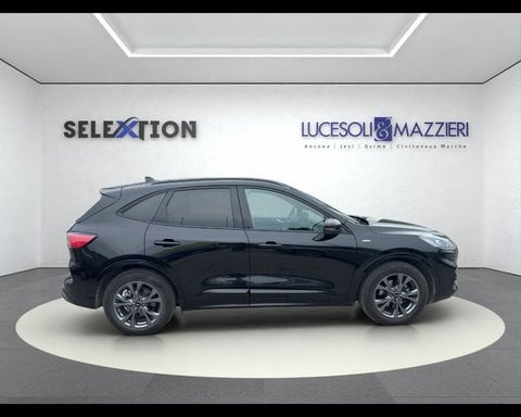 Auto Usate A Ancona | Ford Kuga 3ª Serie 1.5 Ecoblue 120 Cv 2Wd St-Line