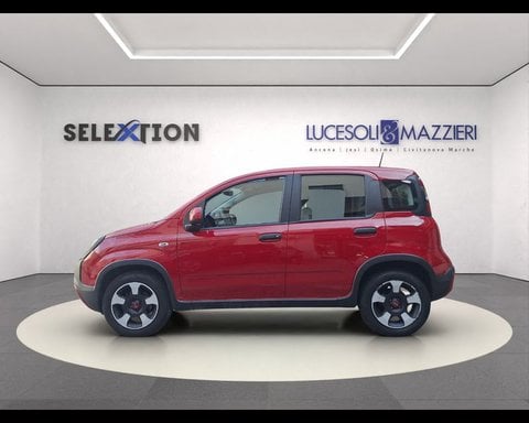 Auto Usate A Ancona | Fiat Panda 1.0 Firefly S&S Hybrid City Cross